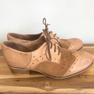 Coque Terra Lace-up Leather Suede Shoes